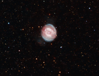 IC4954